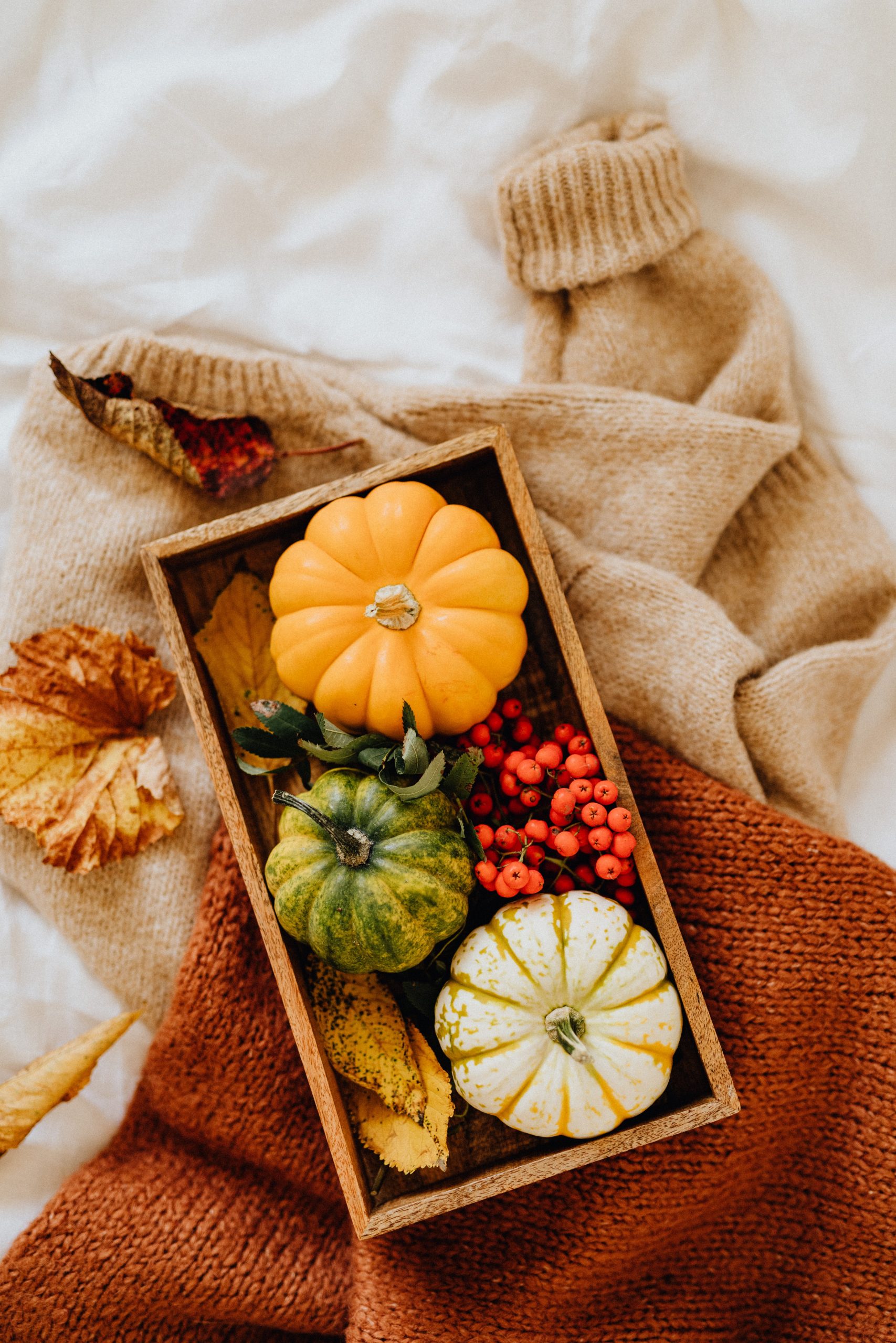 5 Tips For A Calm and Peaceful Thanksgiving - The Peaceful Nest